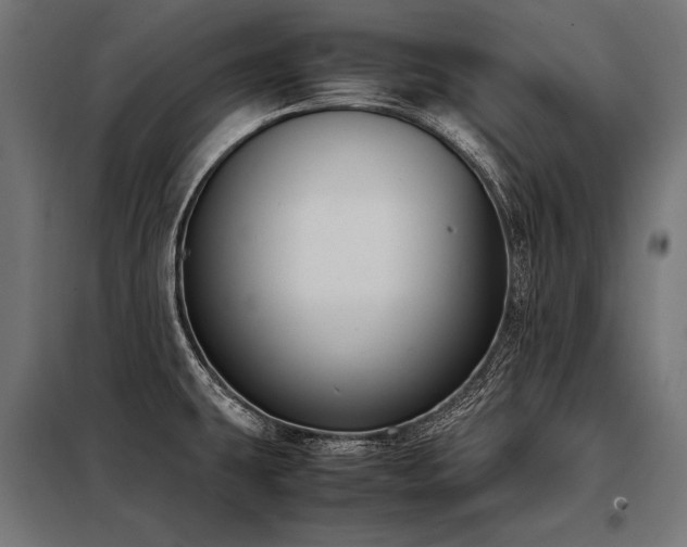 X0000098191431200804241234
