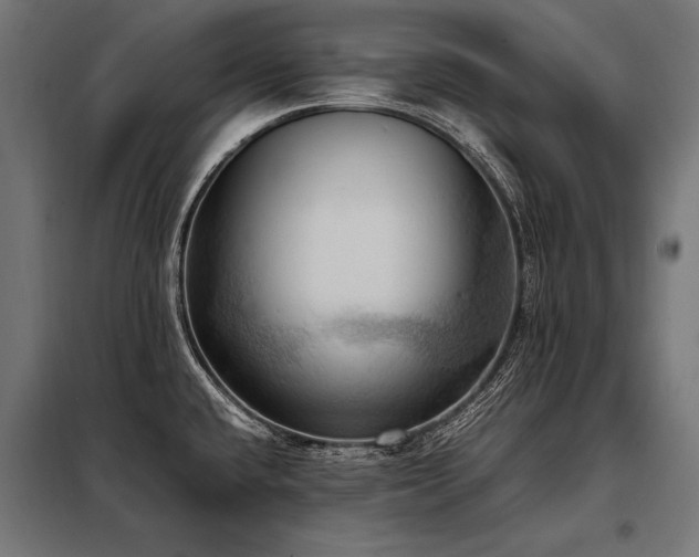 X0000098191432200804241234
