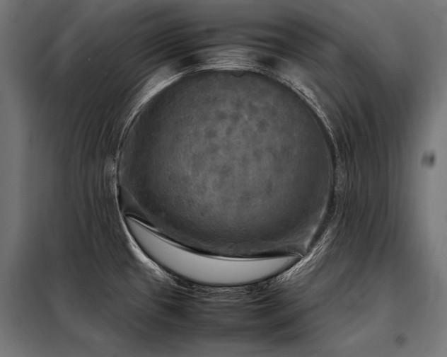 X0000098191433200804241234