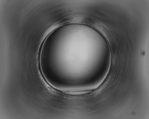 X0000098191434200804241234
