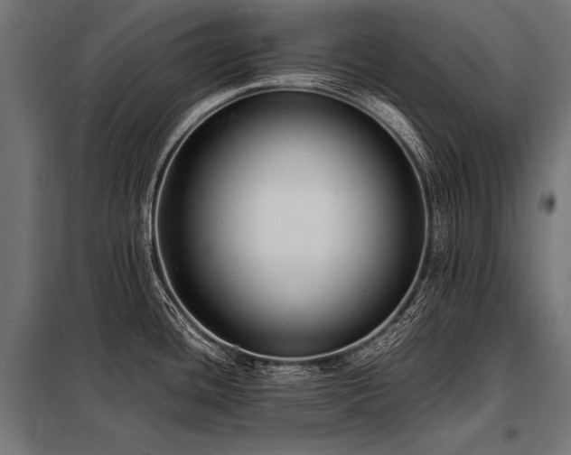 X0000098191436200804241234