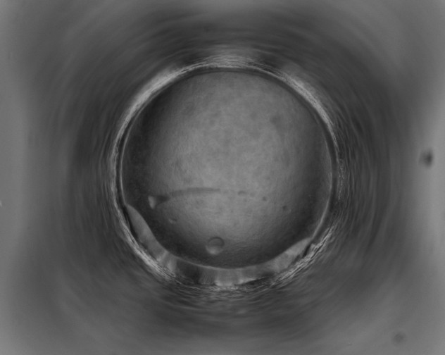 X0000098191437200804241234
