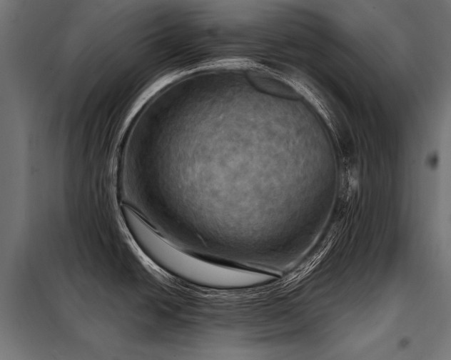 X0000098191438200804241234