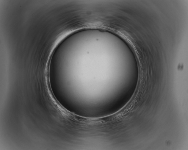 X0000098191440200804241234