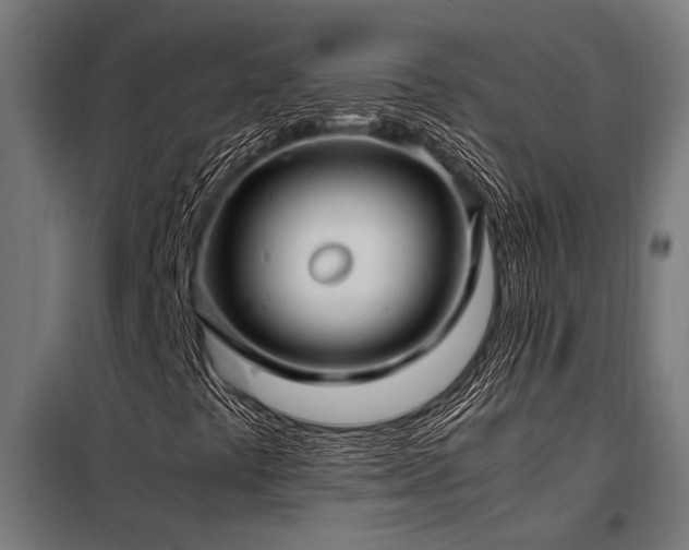 X0000098191441200804241233