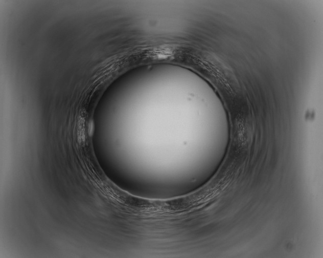 X0000098191442200804241233