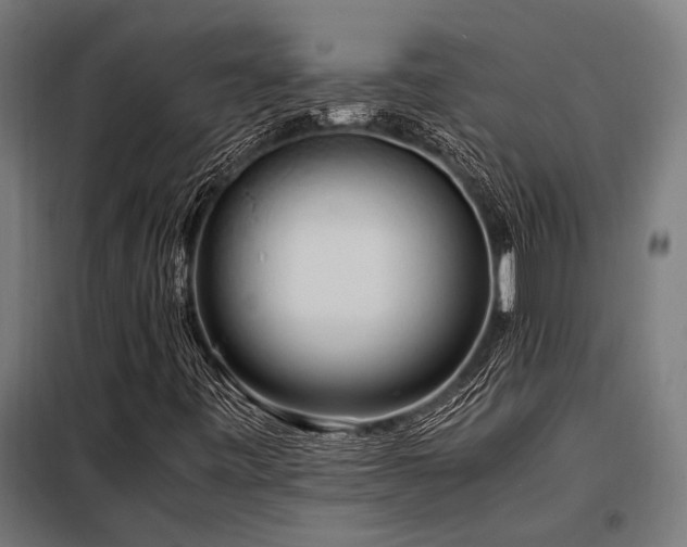 X0000098191443200804241233