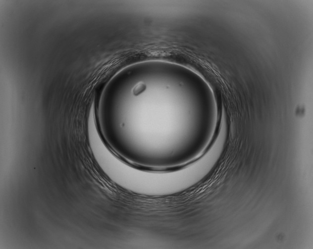 X0000098191444200804241233