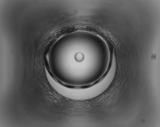 X0000098191445200804241233