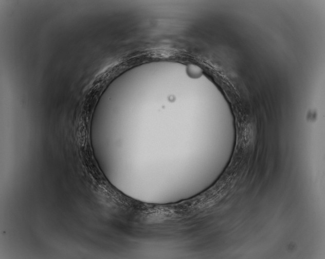 X0000098191446200804241233