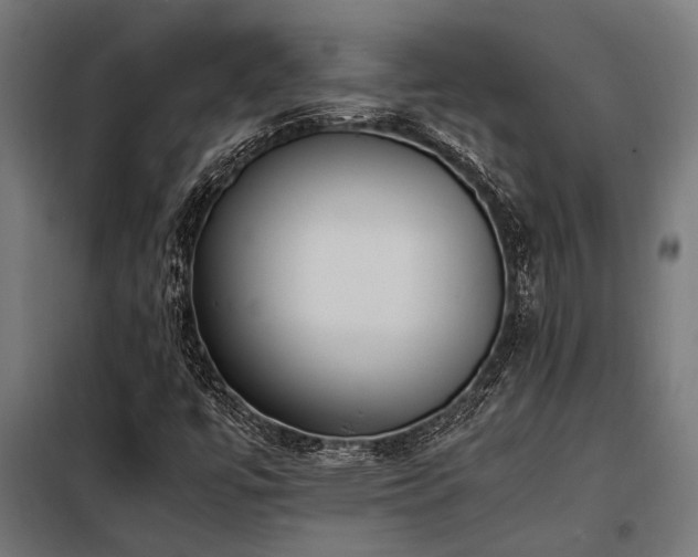 X0000098191447200804241233