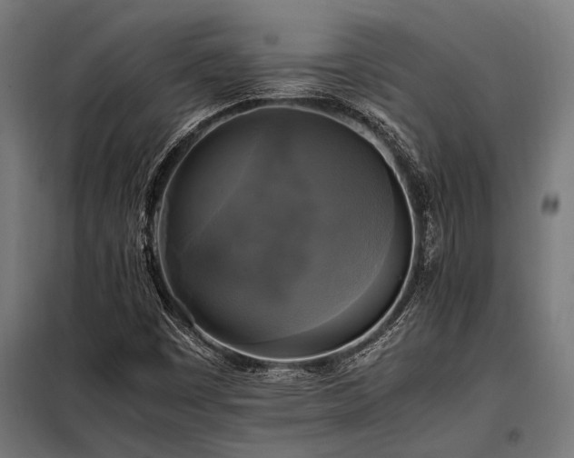 X0000098191449200804241233