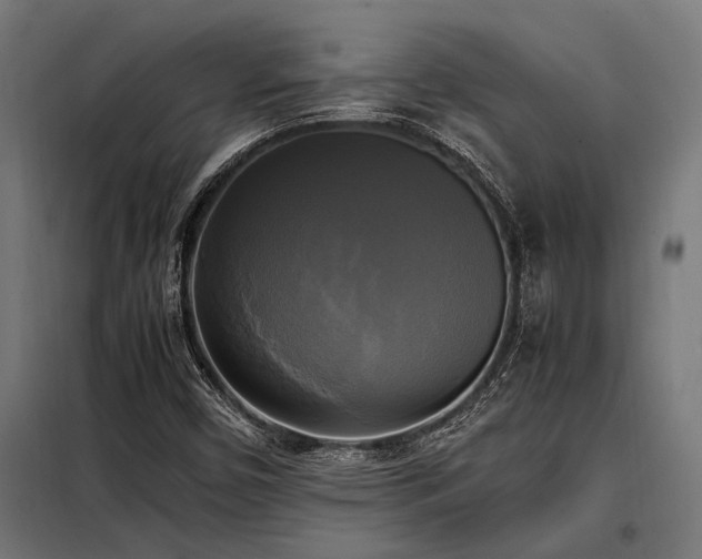 X0000098191450200804241233