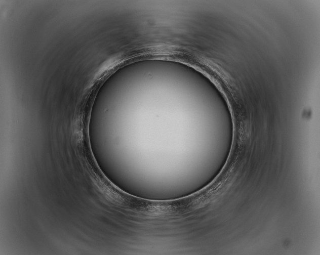 X0000098191451200804241233