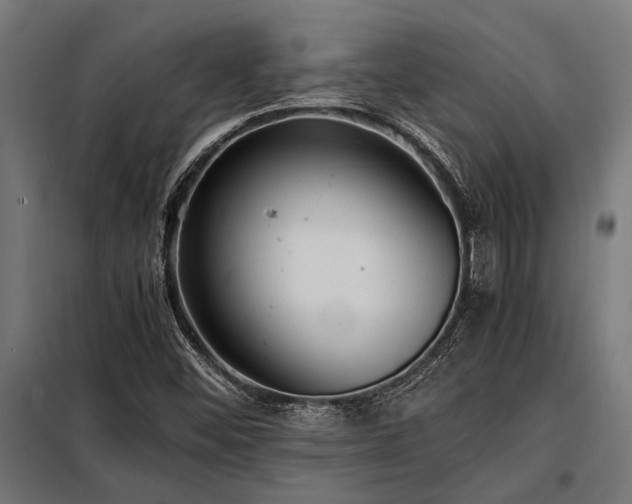 X0000098191452200804241233