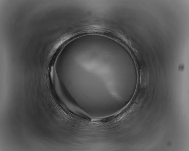 X0000098191453200804241233
