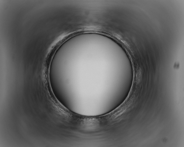 X0000098191454200804241233