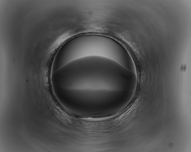 X0000098191455200804241233