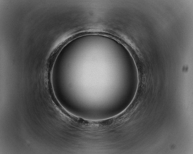 X0000098191456200804241233