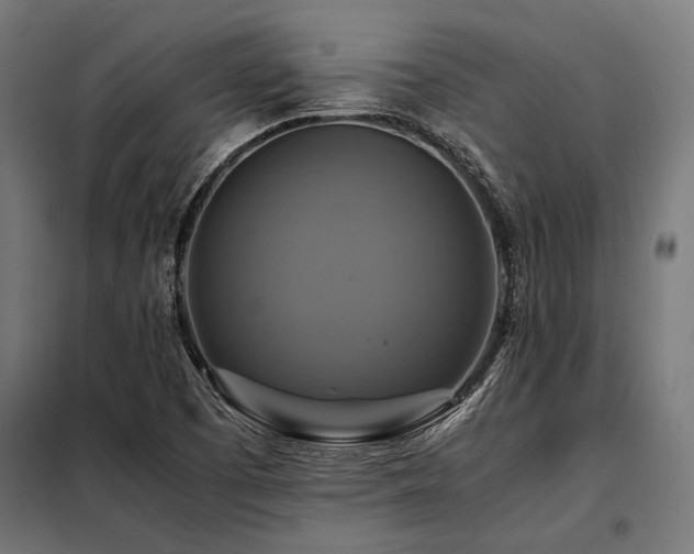 X0000098191457200804241233