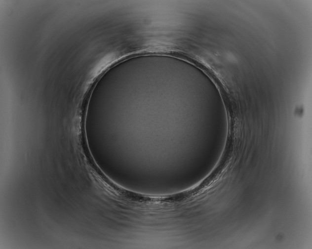 X0000098191459200804241233