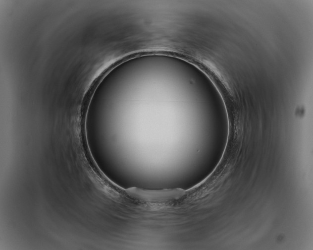 X0000098191460200804241233