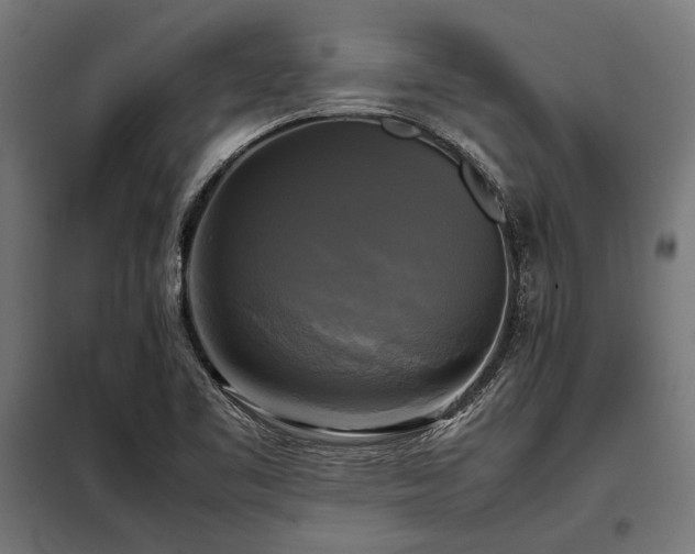 X0000098191461200804241233