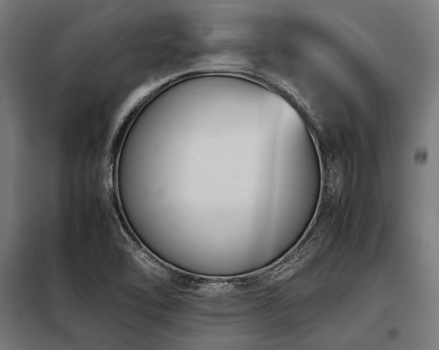 X0000098191462200804241233