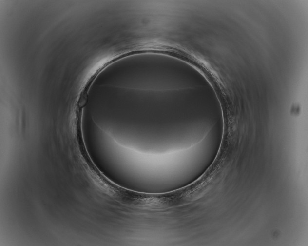 X0000098191463200804241233