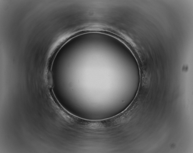 X0000098191464200804241233