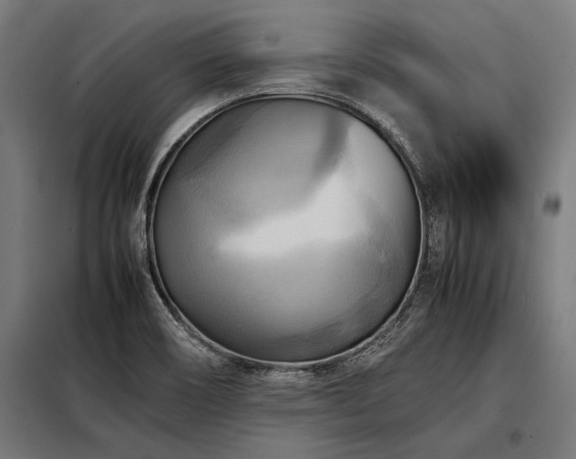 X0000098191466200804241233