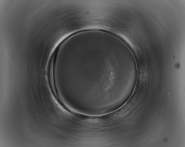 X0000098191468200804241233