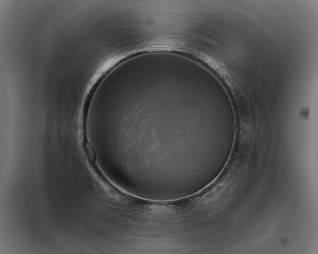 X0000098191469200804241233