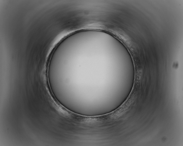 X0000098191470200804241233