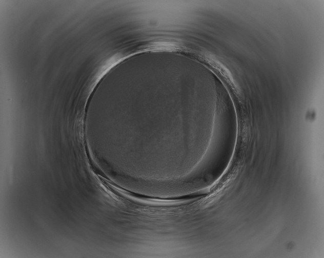 X0000098191473200804241233
