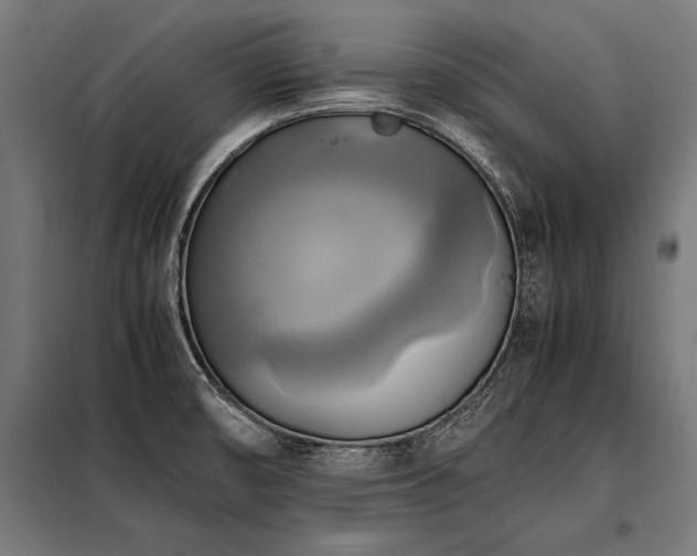 X0000098191474200804241233