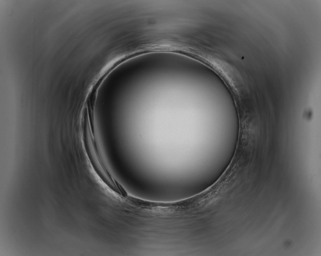 X0000098191476200804241233
