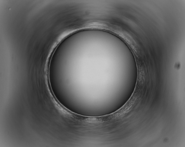 X0000098191478200804241233