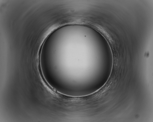 X0000098191479200804241233