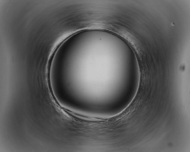 X0000098191480200804241233