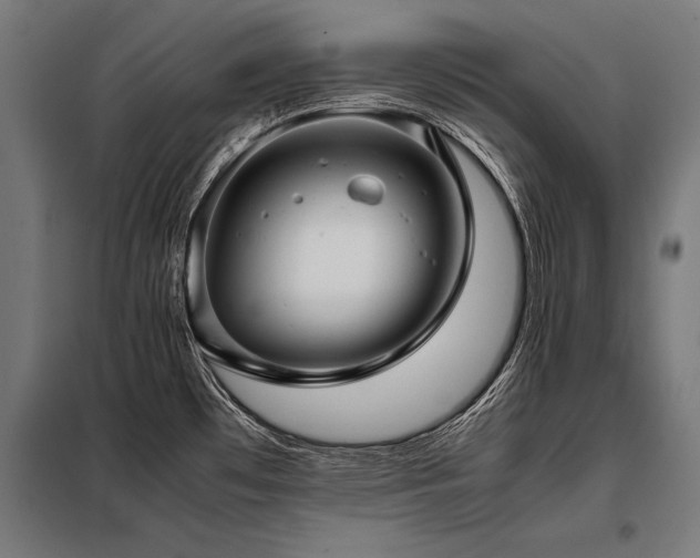 X0000098191481200804241233