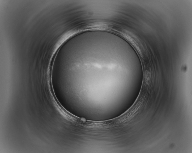 X0000098191482200804241233