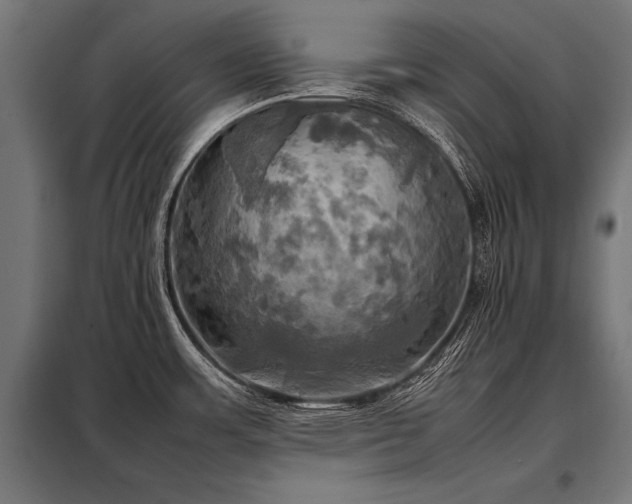 X0000098191483200804241233