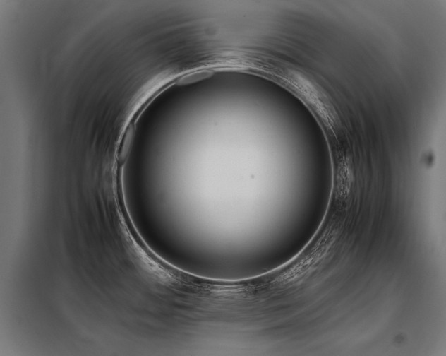 X0000098191484200804241233