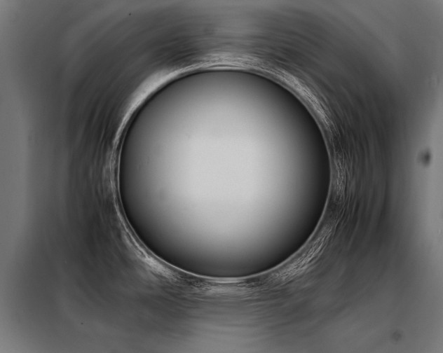 X0000098191486200804241233