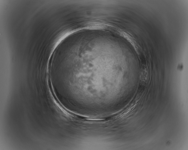 X0000098191487200804241233