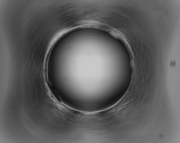 X0000098191488200804241232