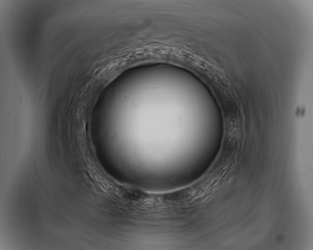 X0000098191489200804241232