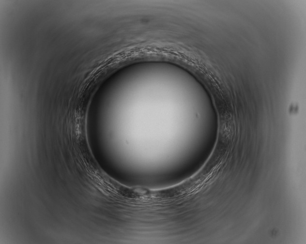 X0000098191490200804241232