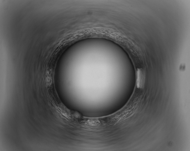 X0000098191491200804241232
